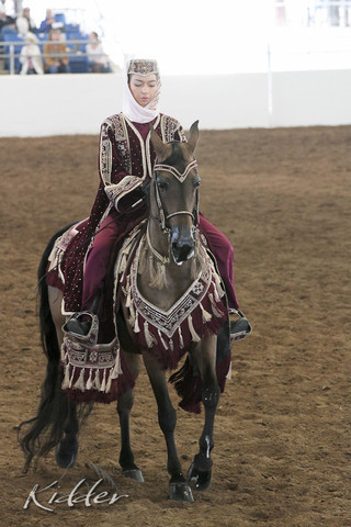2012 Scottsdale Show Photos | Kidder Equine