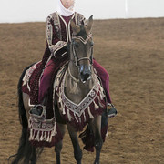 2012 Scottsdale Show Photos | Kidder Equine