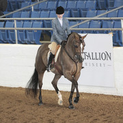 2012 Scottsdale Show Photos | Kidder Equine