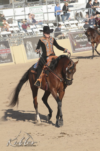 2012 Scottsdale Show Photos | Kidder Equine