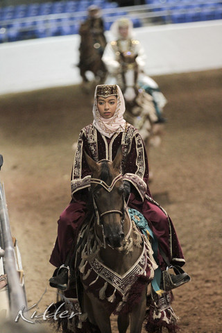 2012 Scottsdale Show Photos | Kidder Equine