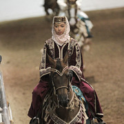 2012 Scottsdale Show Photos | Kidder Equine