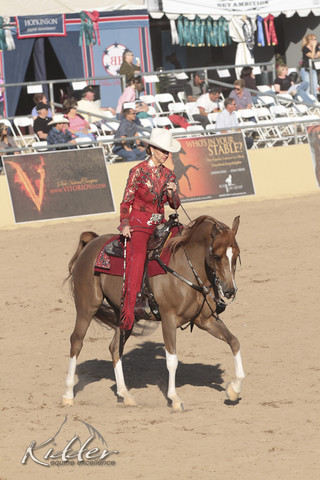 2012 Scottsdale Show Photos | Kidder Equine