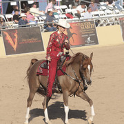 2012 Scottsdale Show Photos | Kidder Equine