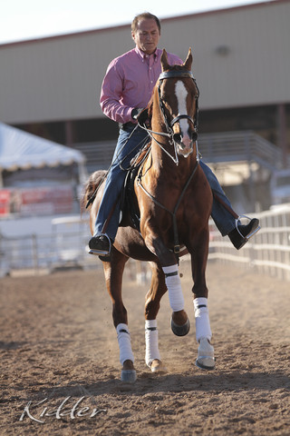 2012 Scottsdale Show Photos | Kidder Equine
