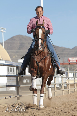 2012 Scottsdale Show Photos | Kidder Equine