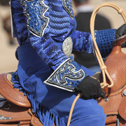 2012 Scottsdale Show Photos | Kidder Equine
