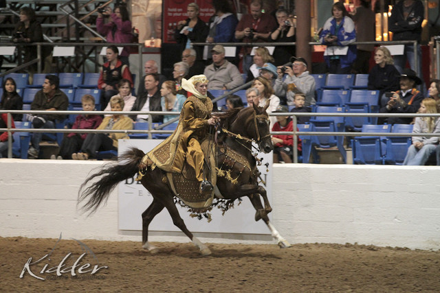 2012 Scottsdale Show Photos | Kidder Equine
