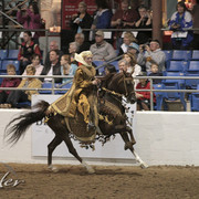 2012 Scottsdale Show Photos | Kidder Equine