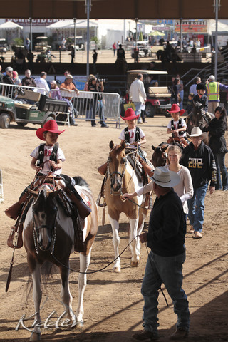 2012 Scottsdale Show Photos | Kidder Equine