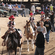 2012 Scottsdale Show Photos | Kidder Equine