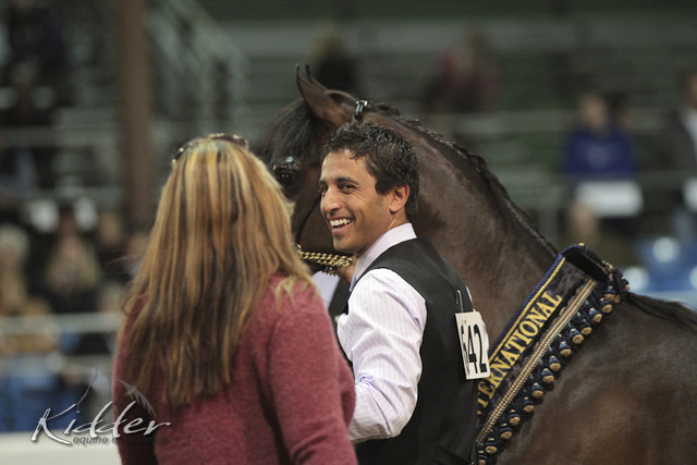 2012 Scottsdale Show Photos | Kidder Equine