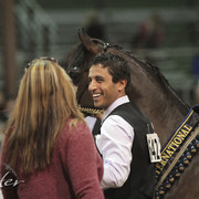 2012 Scottsdale Show Photos | Kidder Equine