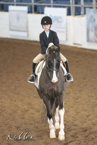 2012 Scottsdale Show Photos | Kidder Equine