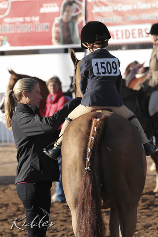 2012 Scottsdale Show Photos | Kidder Equine