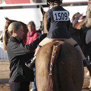 2012 Scottsdale Show Photos | Kidder Equine