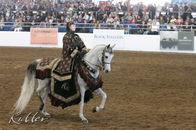 2012 Scottsdale Show Photos | Kidder Equine