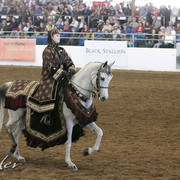 2012 Scottsdale Show Photos | Kidder Equine