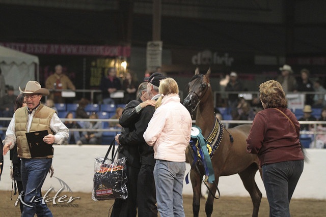 2012 Scottsdale Show Photos | Kidder Equine