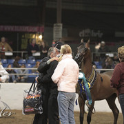 2012 Scottsdale Show Photos | Kidder Equine