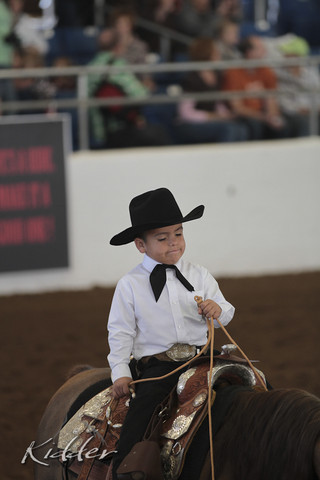 2012 Scottsdale Show Photos | Kidder Equine