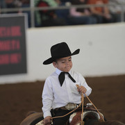 2012 Scottsdale Show Photos | Kidder Equine