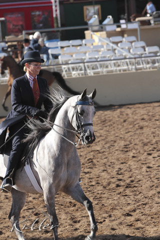 2012 Scottsdale Show Photos | Kidder Equine