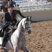 2012 Scottsdale Show Photos | Kidder Equine
