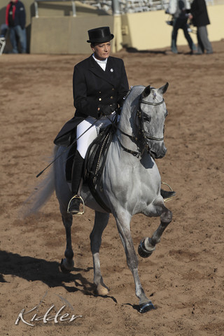 2012 Scottsdale Show Photos | Kidder Equine