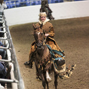 2012 Scottsdale Show Photos | Kidder Equine