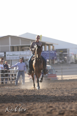 2012 Scottsdale Show Photos | Kidder Equine