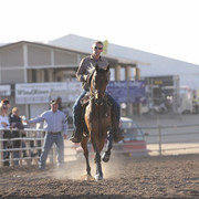 2012 Scottsdale Show Photos | Kidder Equine
