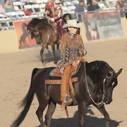 2012 Scottsdale Show Photos | Kidder Equine