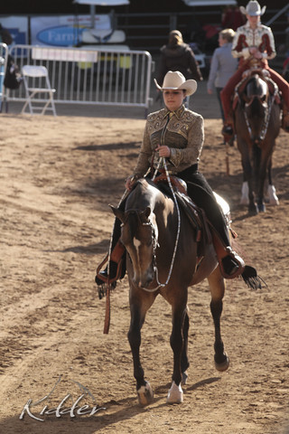 2012 Scottsdale Show Photos | Kidder Equine