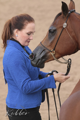 2012 Scottsdale Show Photos | Kidder Equine