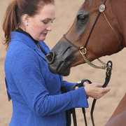 2012 Scottsdale Show Photos | Kidder Equine