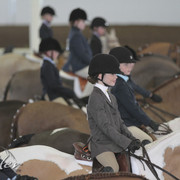 2012 Scottsdale Show Photos | Kidder Equine