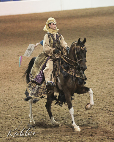 2012 Scottsdale Show Photos | Kidder Equine