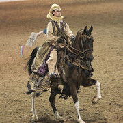 2012 Scottsdale Show Photos | Kidder Equine