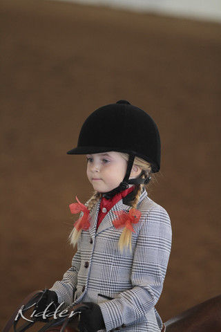 2012 Scottsdale Show Photos | Kidder Equine