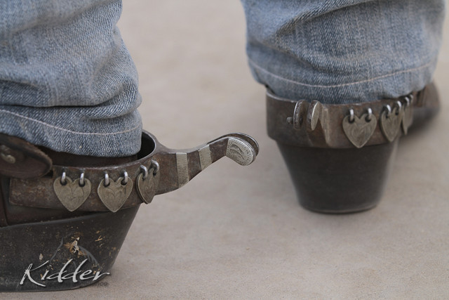 2012 Scottsdale Show Photos | Kidder Equine