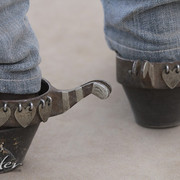 2012 Scottsdale Show Photos | Kidder Equine