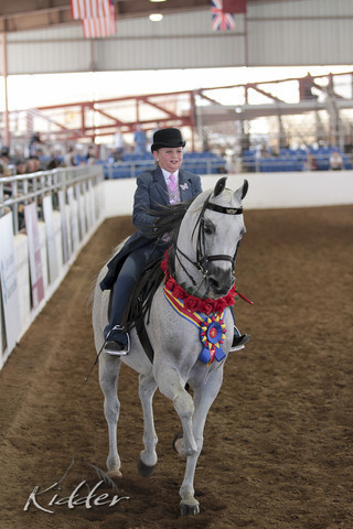 2012 Scottsdale Show Photos | Kidder Equine