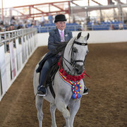 2012 Scottsdale Show Photos | Kidder Equine