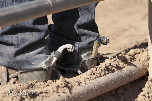 2012 Scottsdale Show Photos | Kidder Equine