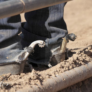 2012 Scottsdale Show Photos | Kidder Equine