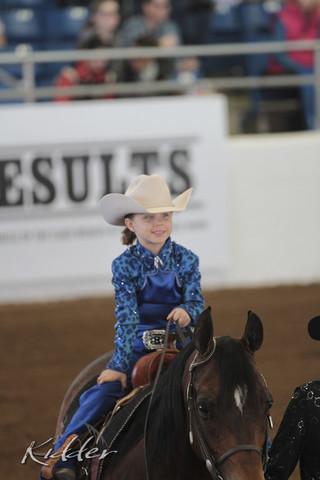 2012 Scottsdale Show Photos | Kidder Equine