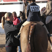 2012 Scottsdale Show Photos | Kidder Equine