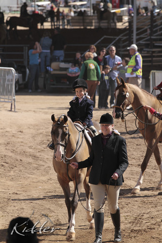 2012 Scottsdale Show Photos | Kidder Equine