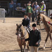 2012 Scottsdale Show Photos | Kidder Equine